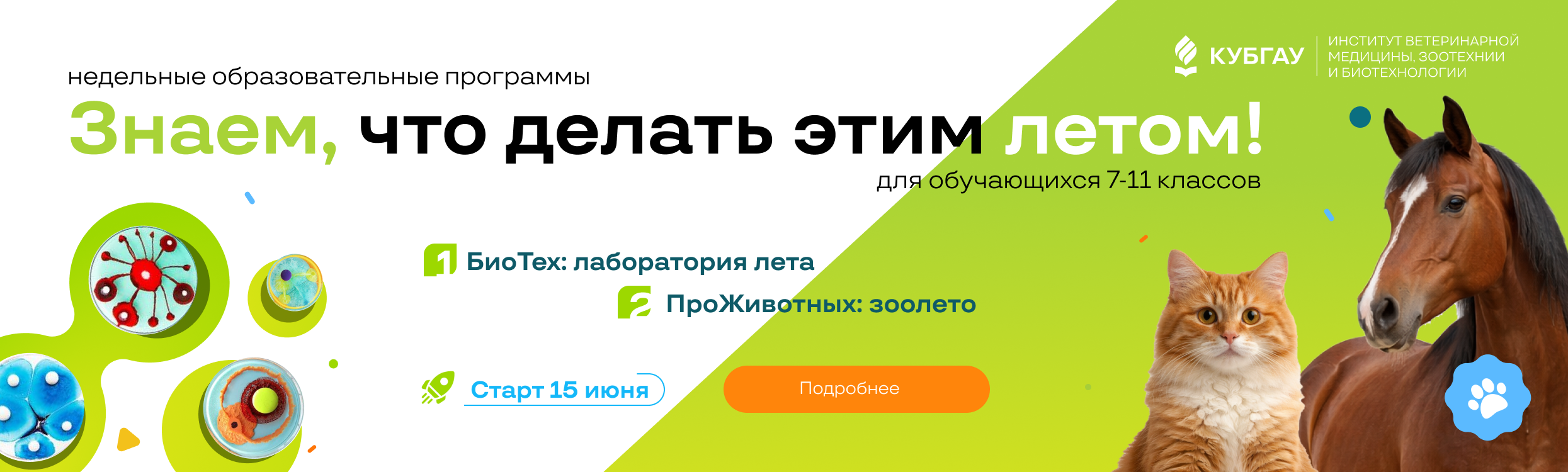 first-slide