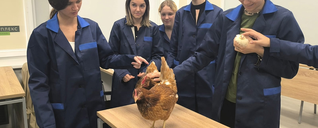 Перья расправлены: птицеводы получили крылья мастерства