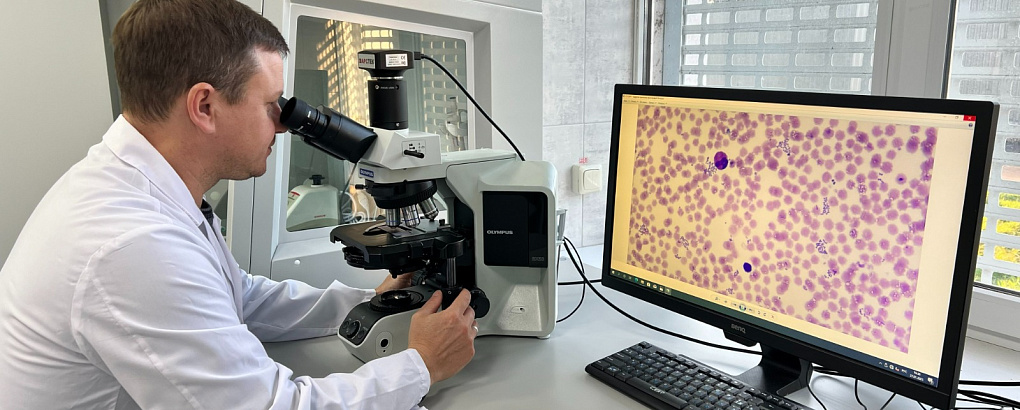 В КубГАУ разрабатывают новые иммуностимуляторы для животных