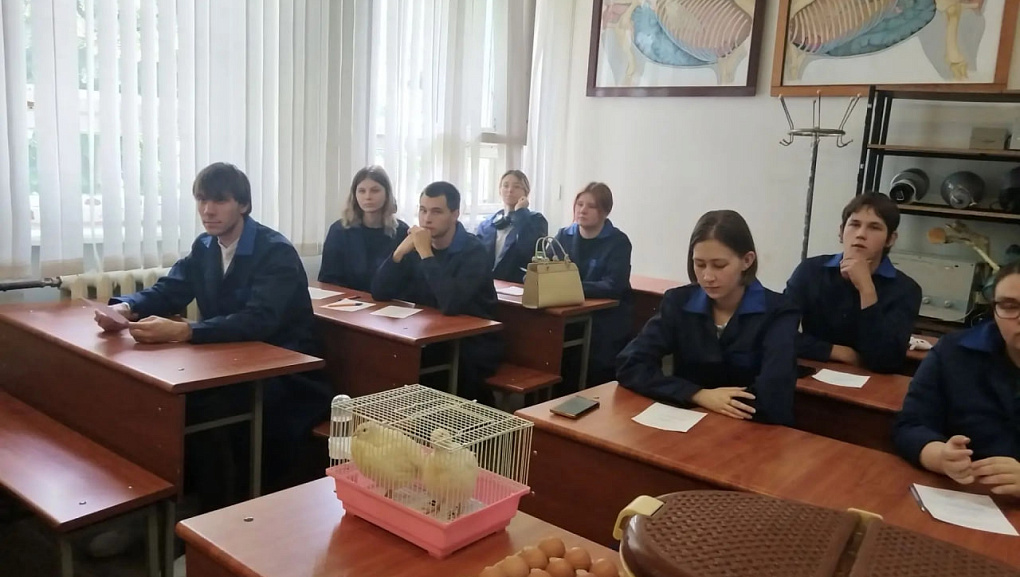 Студенты КубГАУ освоили рабочую профессию животновода