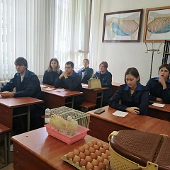 Студенты КубГАУ освоили рабочую профессию животновода