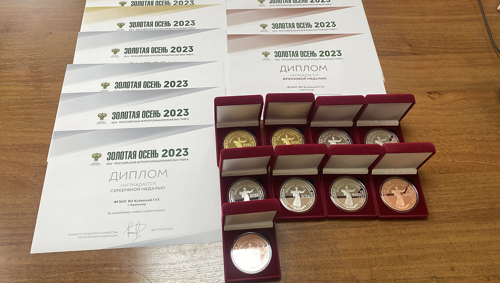 Награды конкурсной программы Золотой осени 2023