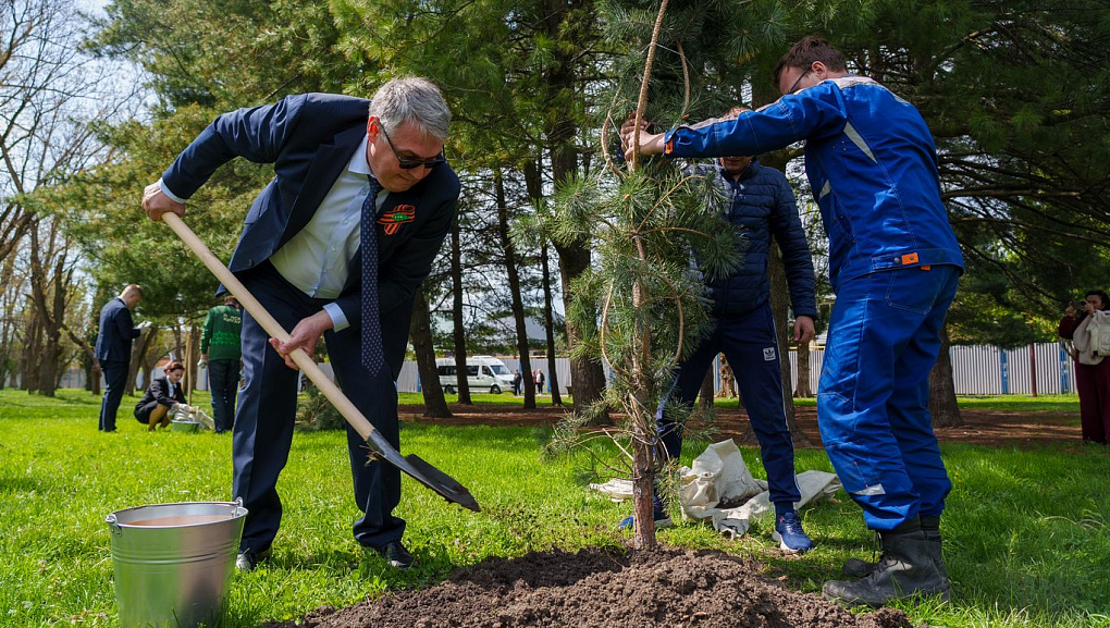 В Ботаническом саду КубГАУ открыли Аллею сосен в рамках акции «Сад Памяти»