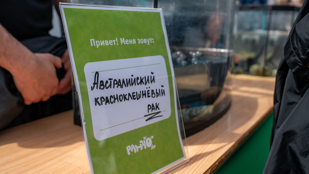 В Кубанском ГАУ открылось «Ранчо»