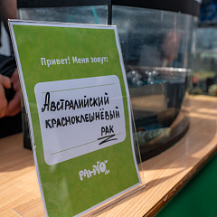 В Кубанском ГАУ открылось «Ранчо»