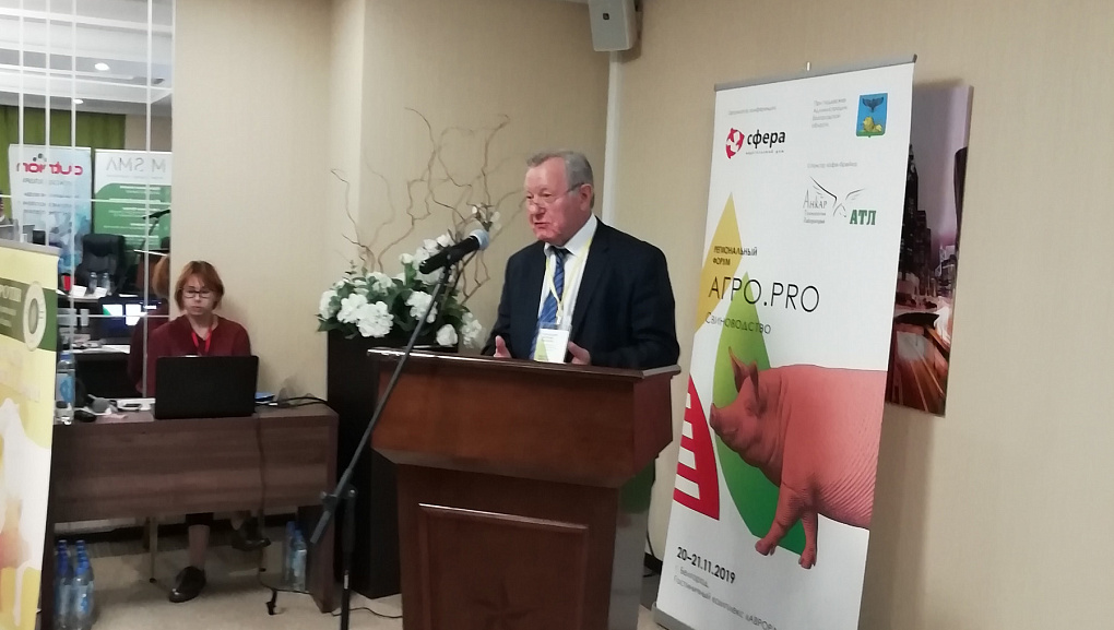 Обсудили состояние и перспективы индустриального свиноводства