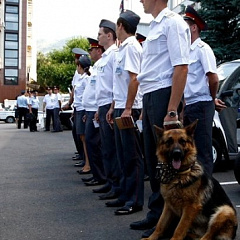 Служба в органах внутренних дел — шанс профессиональной реализации