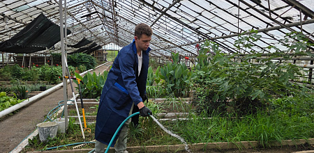 Экзамен пройден — путь к садовым вершинам открыт!