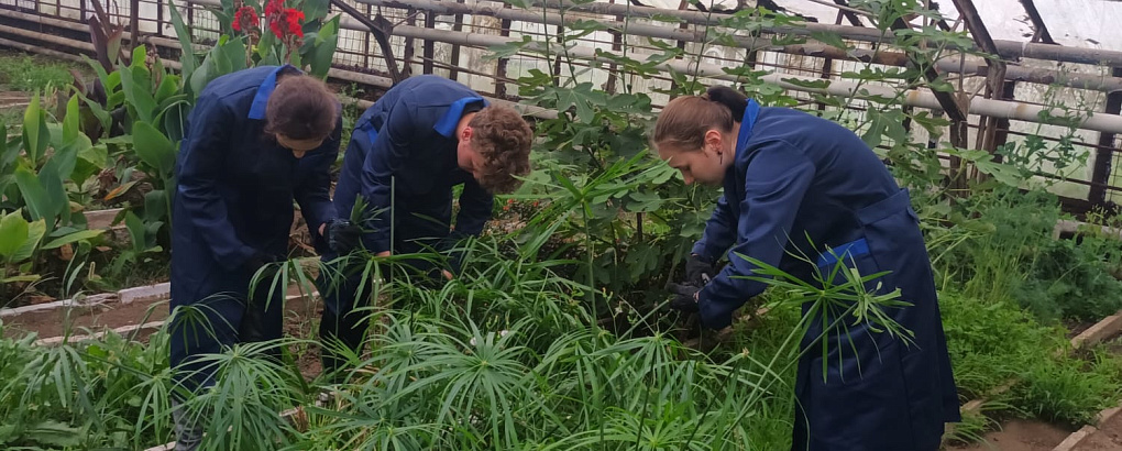 От теории к мастерству