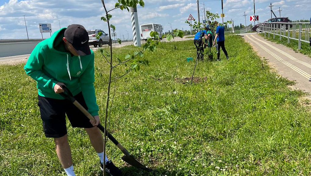 Студенты КубГАУ высадили аллею Памяти Героев в станице Елизаветинской