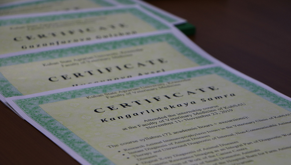 Россия – Азербайджан: диалог двух культур