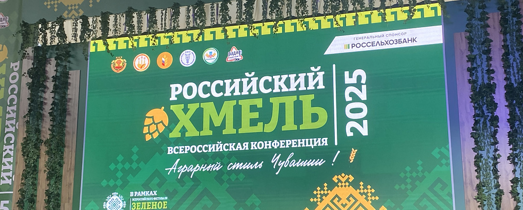 Хмель – перспективная культура для региона