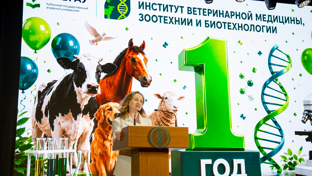 Первый год большого пути 