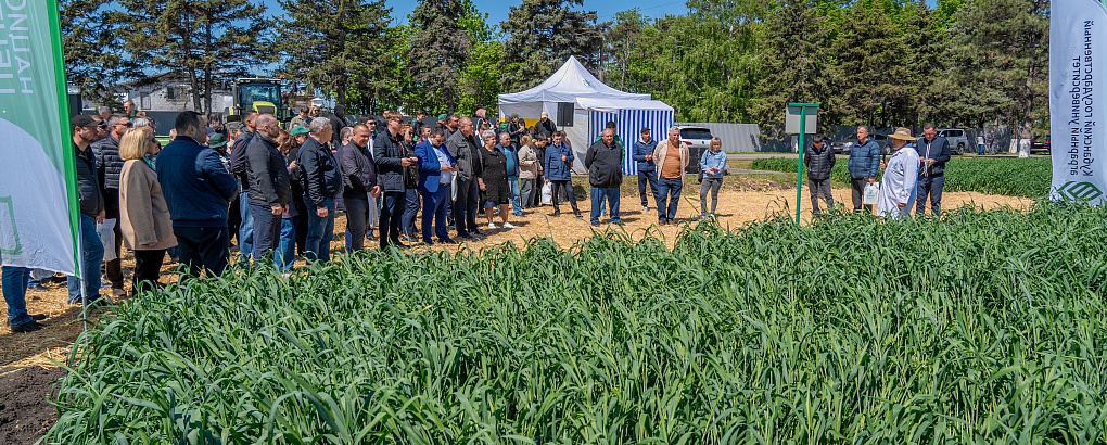 День поля в учхозе «Краснодарское»