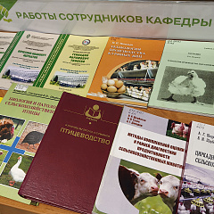 Перелистывая страницы