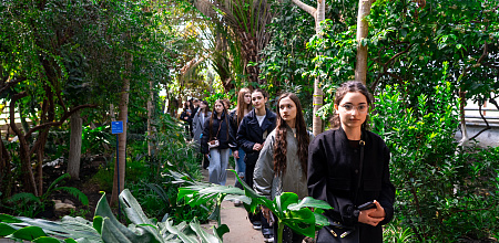 Пять дней погружения в науку