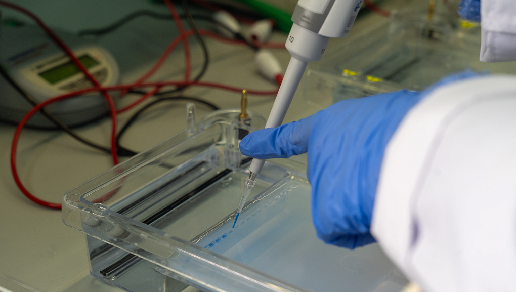 Грант 3 млн рублей получит СНО «Агробиотехнология» Кубанского ГАУ!