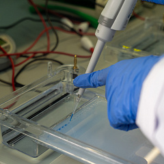 Грант 3 млн рублей получит СНО «Агробиотехнология» Кубанского ГАУ!