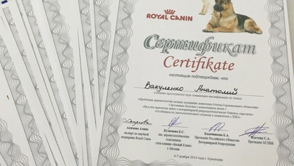 Семинар по проблемам дерматологии и репродуктологии мелких домашних животных