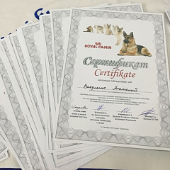 Семинар по проблемам дерматологии и репродуктологии мелких домашних животных