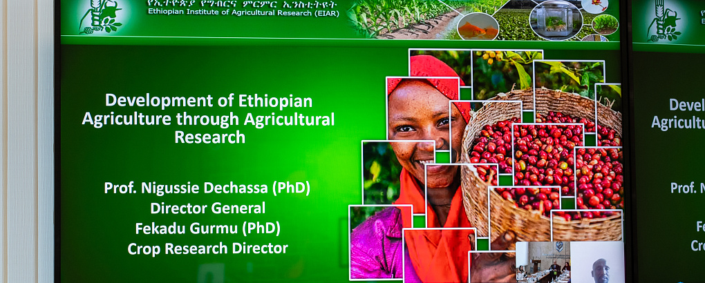 В Кубанском государственном аграрном университете состоялась XIX Международная научно-практическая конференция «Экономические проблемы, направления и механизмы обеспечения технологического лидерства в ЕАЭС в аграрной сфере