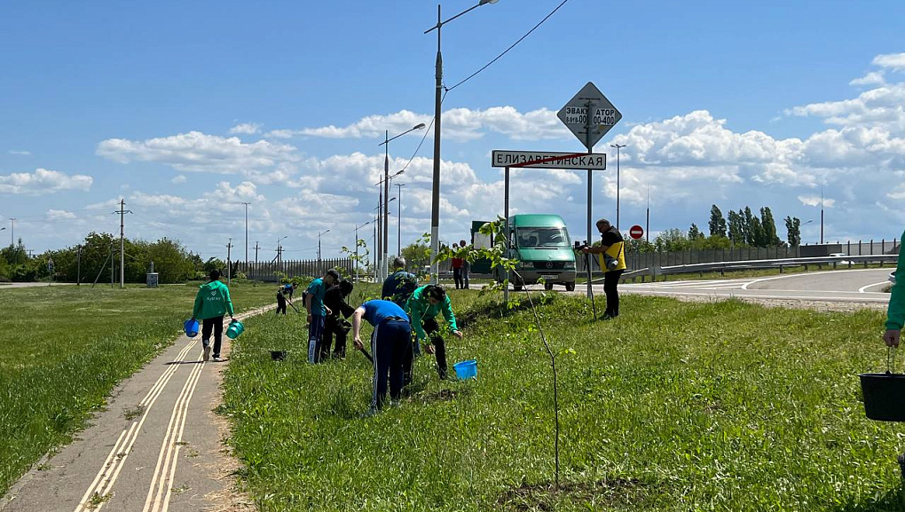 Студенты КубГАУ высадили аллею Памяти Героев в станице Елизаветинской