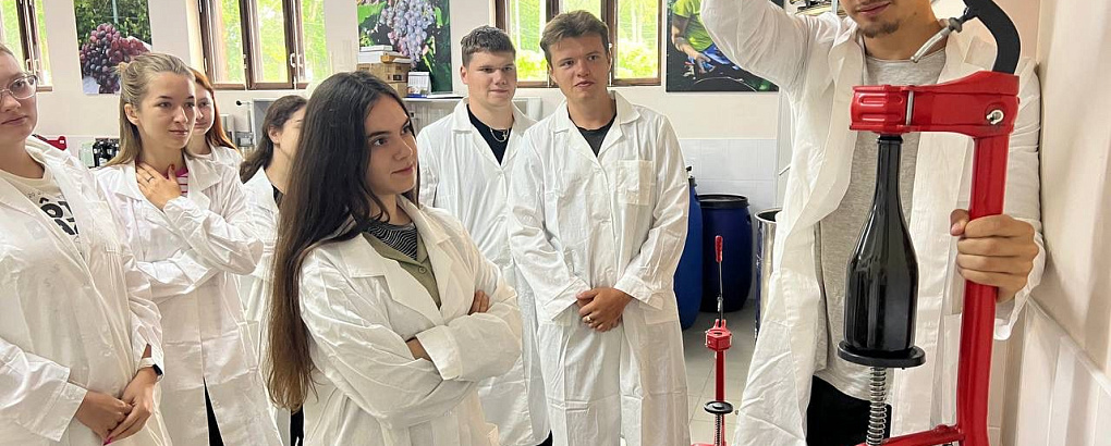 Тонкости виноделия