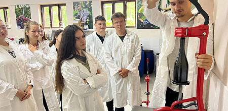 Тонкости виноделия