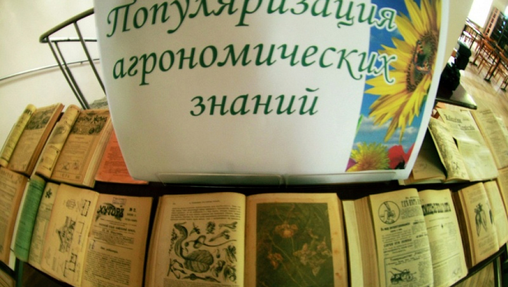 Все на выставку!