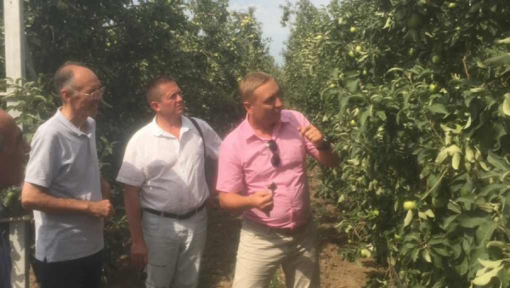 Cooperation with Azerbaijan State Agricultural University
