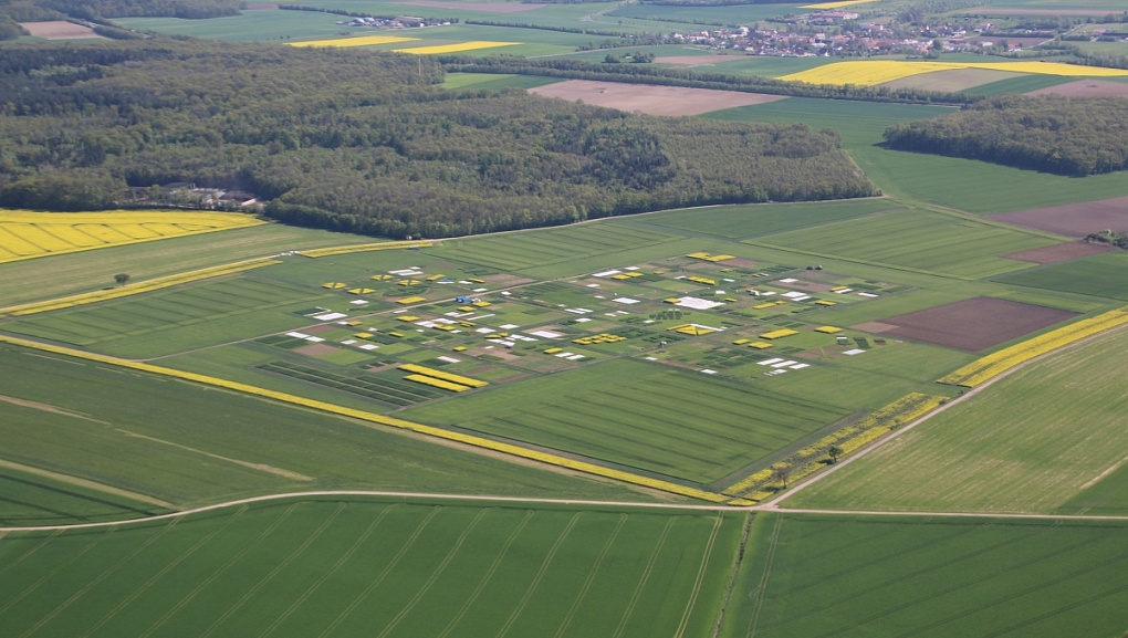 Отмечаем Международный день поля вместе с КубГАУ
