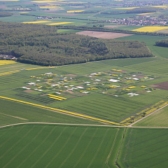 Отмечаем Международный день поля вместе с КубГАУ