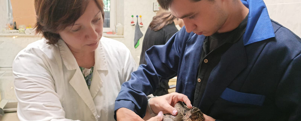 Будущие профессионалы в области птицеводства