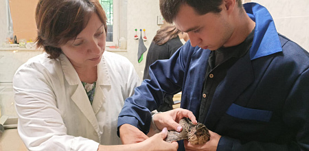 Будущие профессионалы в области птицеводства