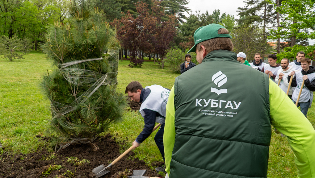 В Ботсаду КубГАУ высадили деревья