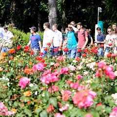 Kuban Hospitality for German Students