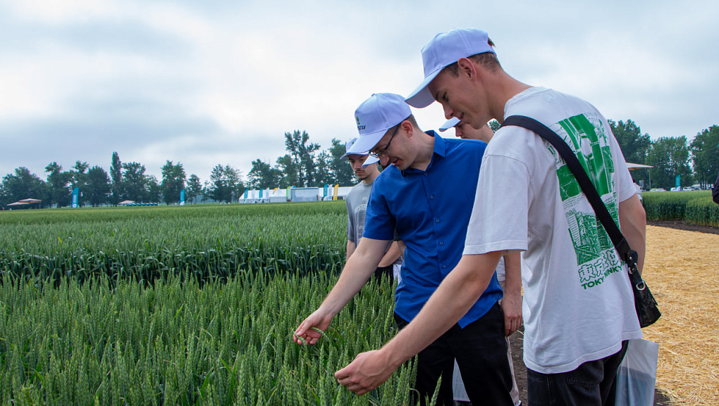 КубГАУ и Национальный центр зерна: вековой союз науки и селекции