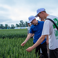 КубГАУ и Национальный центр зерна: вековой союз науки и селекции