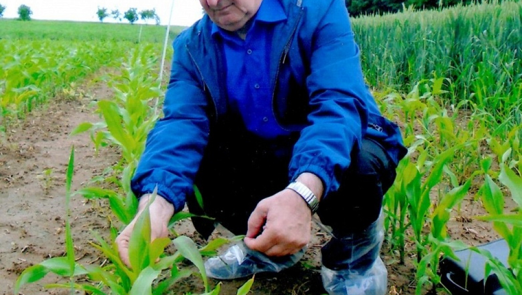 Отмечаем Международный день поля вместе с КубГАУ