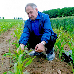Отмечаем Международный день поля вместе с КубГАУ