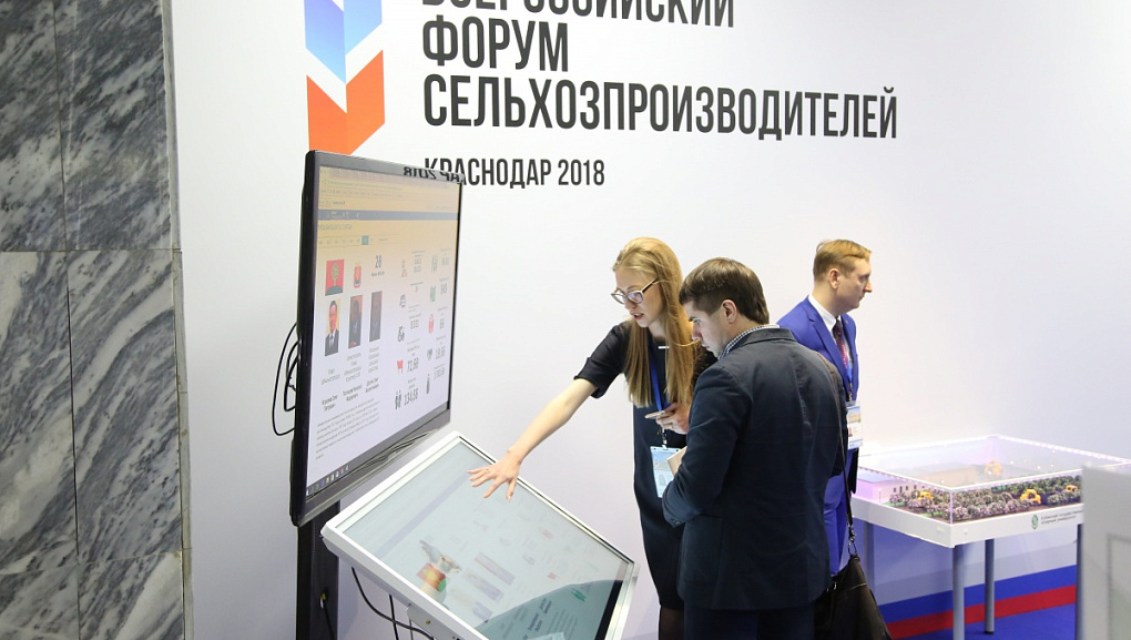 Началась работа выставки