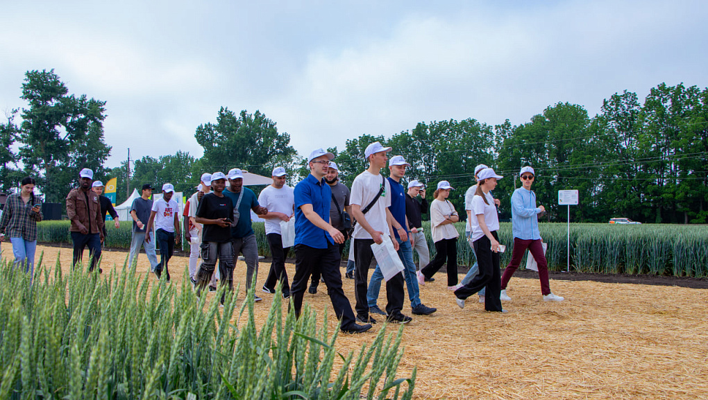 КубГАУ и Национальный центр зерна: вековой союз науки и селекции