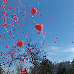 Студенты привлекли внимание краснодарцев к проблеме онкологических заболеваний у детей