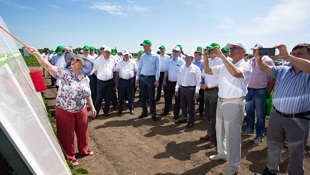 Учхоз "Кубань" принимал гостей со всей Кубани на ежегодное мероприятие "День поля"