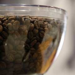 Start a good career with a good cup of coffee