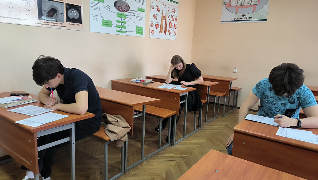  Олимпиада по русскому языку