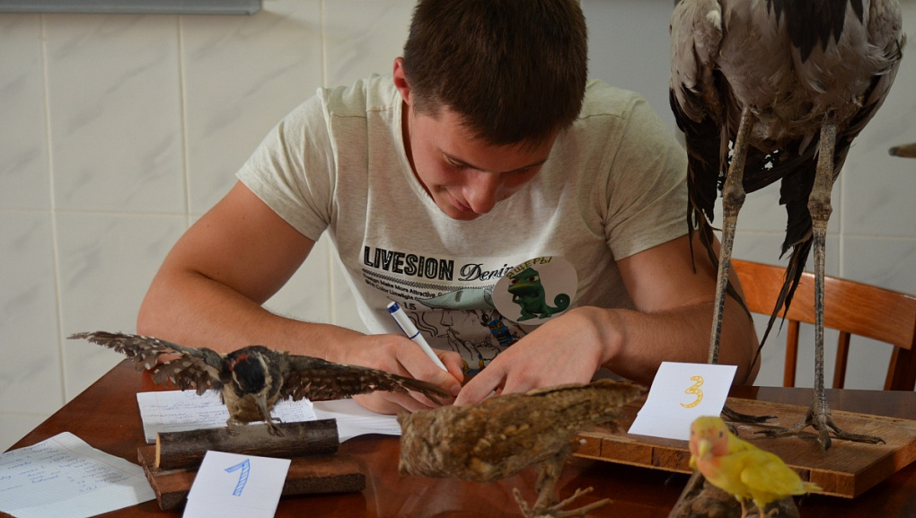 Нестандартный КВН