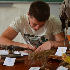 Нестандартный КВН