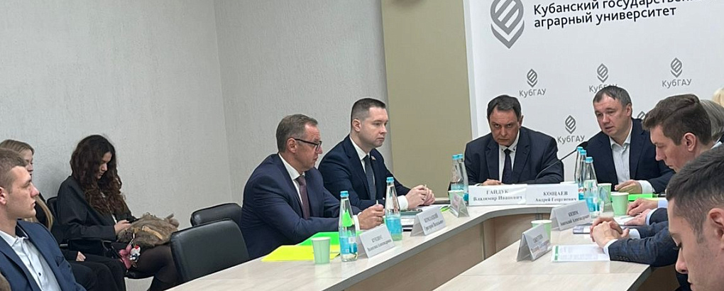 Про ИИ и проекты