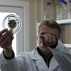 Future Specialists of  “Syngenta”